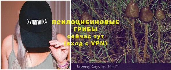 кокаин Белокуриха