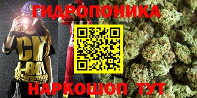 сатива Волжский