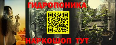 шишки Балашиха