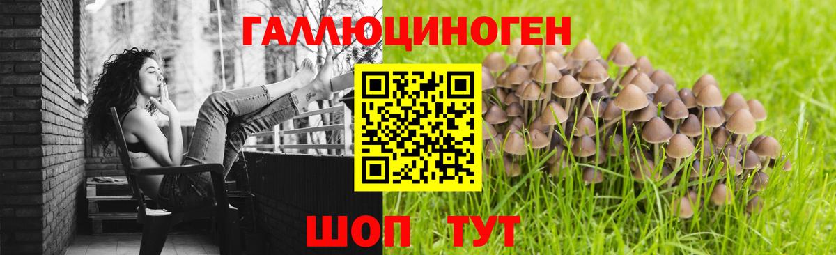 Псилоцибиновые грибы ЛСД Вичуга