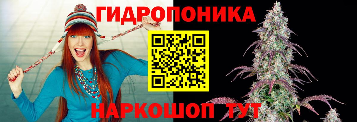 Конопля White Widow Вичуга